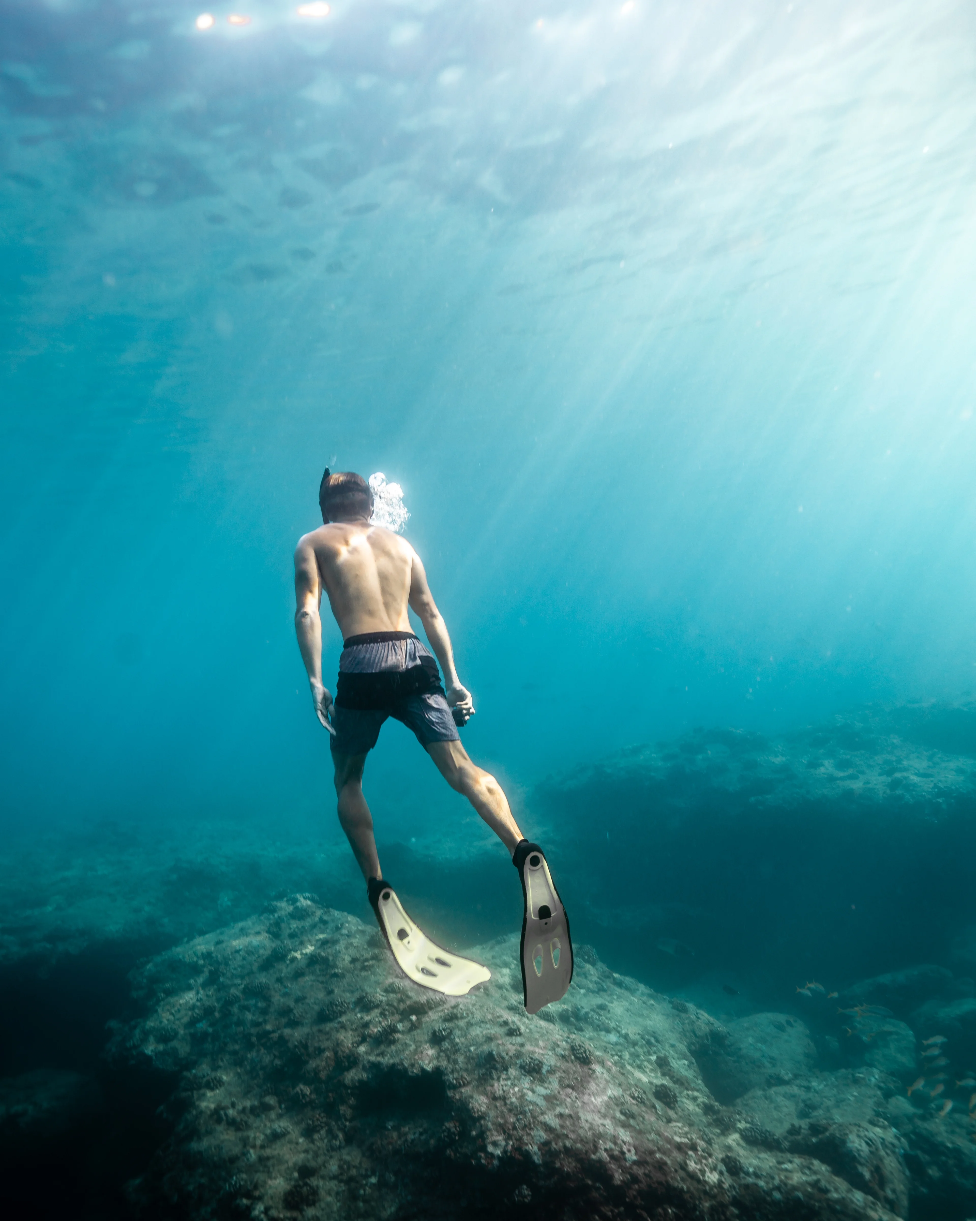 Persona haciendo snorkel en el arrecife de Mahahual